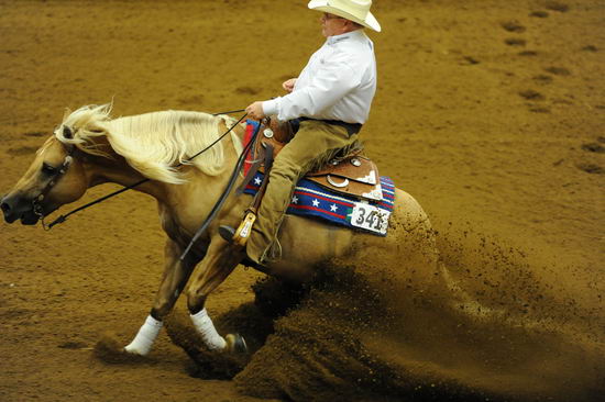 WEG1-9-25-10-RNG-WEG 1136-TimMcQuay-Hollywoodstinseltown-DDeRosaPhoto