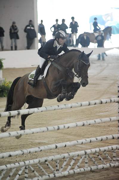 301-TriompheDeMuze-JonathanMcCrea-Kentucky-HagyardGP-5-15-08-PS-DeRosaPhoto