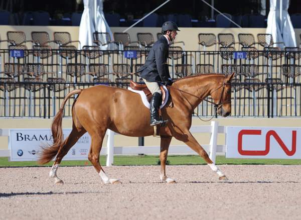 AHJF-2-11-09-740-Sunshine-PeterPletcher-1stYrA-DDeRosaPhoto