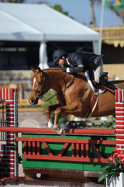 AHJF-2-11-09-750-Sunshine-PeterPletcher-1stYrA-DDeRosaPhoto