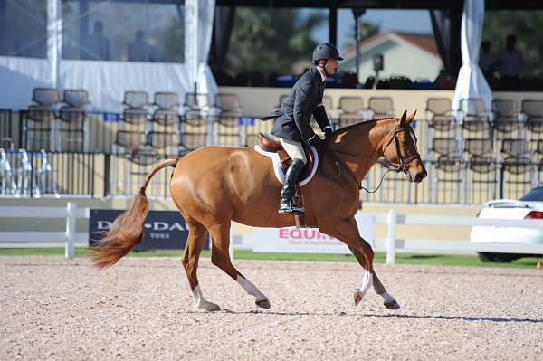 AHJF-2-11-09-751-Sunshine-PeterPletcher-1stYrA-DDeRosaPhoto