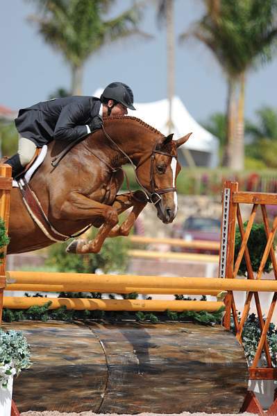 AHJF-2-12-09-1208-Arabella-PeterPletcher-1stYrB-DDeRosaPhoto