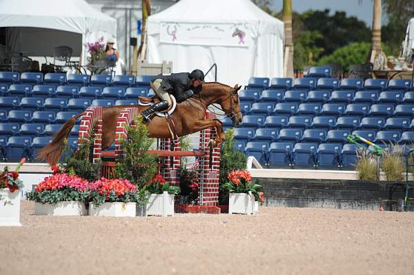 AHJF-2-12-09-1213-Arabella-PeterPletcher-1stYrB-DDeRosaPhoto