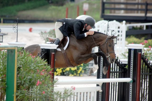 628-Athena-RobBielefeld-AHJFHunterClassic-2-21-08-2ndYr-A-DeRosaPhoto