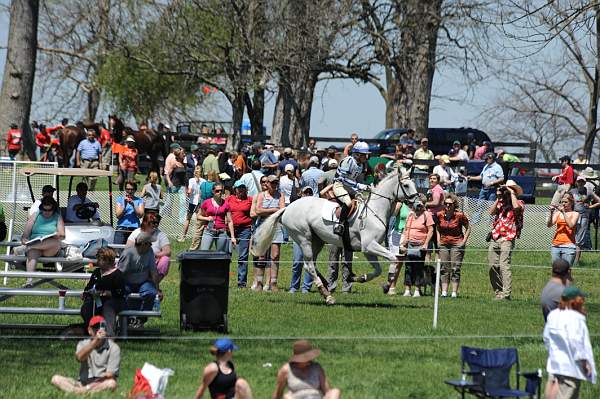 Rolex-4-26-09-1094-RingwoodCockatoo-BettinaHoy-GER-DeRosaPhoto