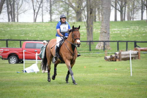 Rolex-4-27-13-XC-3575-RonaldZabala-Goetshel-FEI-WiseEquestreianMasterRose-DDeRosaPhoto