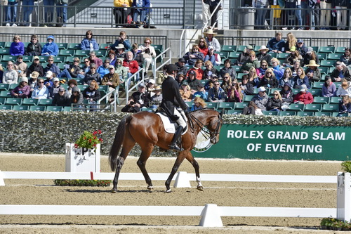 Rolex-DRE-4-23-15-1275-JamesAlliston-Parker-GBR-DDeRosaPhoto