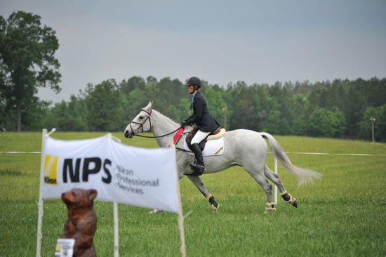 So8ths-5-6-12-SJDay-5061-DCMcBroom-Twain-N3D-DDeRosaPhoto