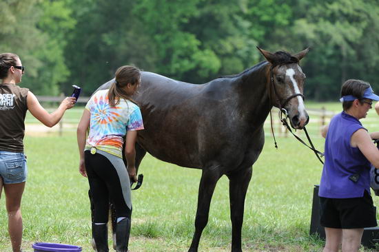 So8ths-5-5-12-XCDay-3991-DDeRosaPhoto