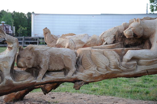 So8ths-5-4-12-Dressage-1554-DDeRosaPhoto