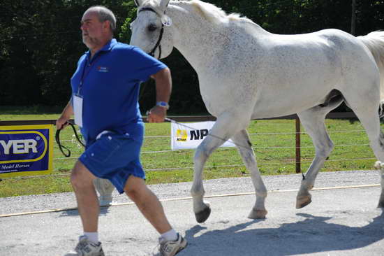 So8ths-5-3-12-Education-9926-DDeRosaPhoto