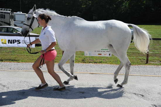 So8ths-5-3-12-Education-9946-DDeRosaPhoto