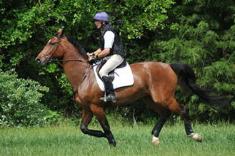 So8ths-5-4-12-Clinic-2406-TremaineCooper-Arnold-DDeRosaPhoto