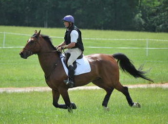 So8ths-5-4-12-Clinic-2418-TremaineCooper-Arnold-DDeRosaPhoto