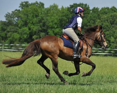 So8ths-5-4-12-Clinic-2725-BeckyBrown-TotallyBroke-DDeRosaPhoto