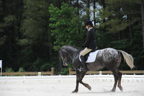 So8ths-5-4-12-Dressage-1215-GigiJoseph-GoneWiththeWin-DDeRosaPhoto