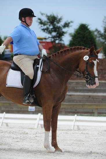 So8ths-5-4-12-Dressage-1350-MichaelLindsey-Hilife-DDeRosaPhoto