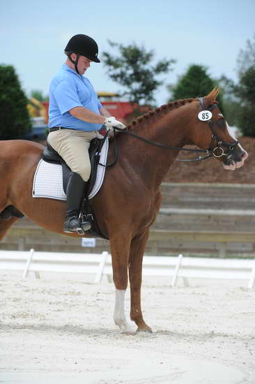 So8ths-5-4-12-Dressage-1351-MichaelLindsey-Hilife-DDeRosaPhoto