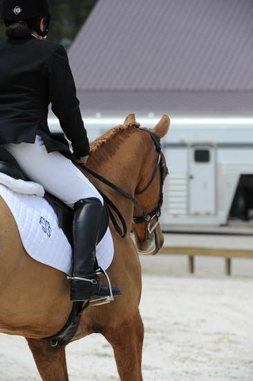 So8ths-5-4-12-Dressage-1360-SarahZimmer-MardiGras-DDeRosaPhoto