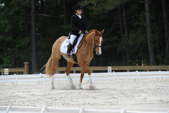 So8ths-5-4-12-Dressage-1365-SarahZimmer-MardiGras-DDeRosaPhoto