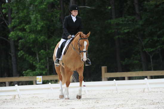 So8ths-5-4-12-Dressage-1371-SarahZimmer-MardiGras-DDeRosaPhoto