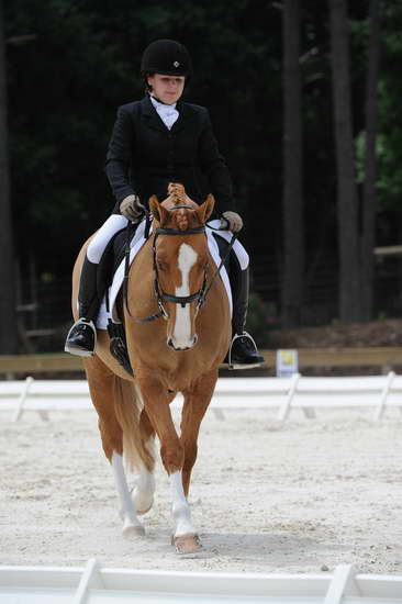 So8ths-5-4-12-Dressage-1380-SarahZimmer-MardiGras-DDeRosaPhoto