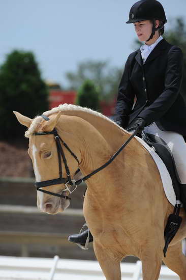 So8ths-5-4-12-Dressage-1416-JamieMiess-InTheZone-DDeRosaPhoto
