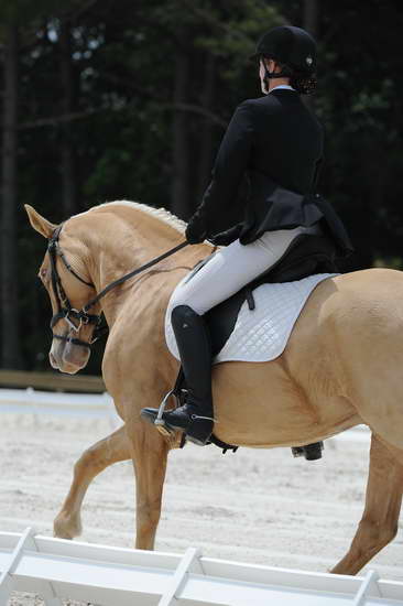 So8ths-5-4-12-Dressage-1419-JamieMiess-InTheZone-DDeRosaPhoto