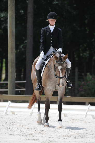 So8ths-5-4-12-Dressage-1438-KelseyBriggs-CuttersSouthernJaz-DDeRosaPhoto