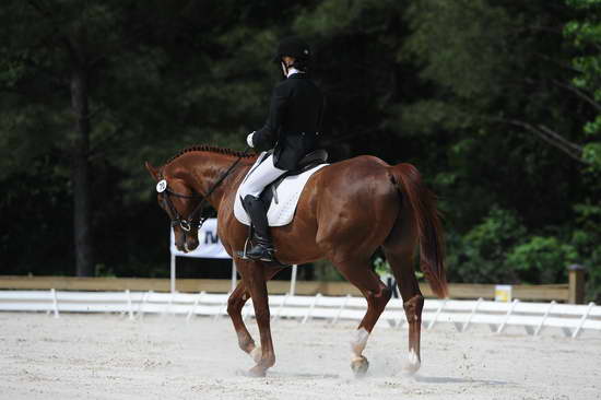 So8ths-5-4-12-Dressage-0877-KelseyBriggs-TheItalianJob-DDeRosaPhoto