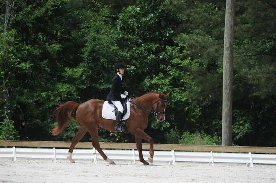 So8ths-5-4-12-Dressage-0878-KelseyBriggs-TheItalianJob-DDeRosaPhoto