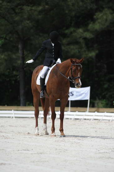 So8ths-5-4-12-Dressage-0887-KelseyBriggs-TheItalianJob-DDeRosaPhoto