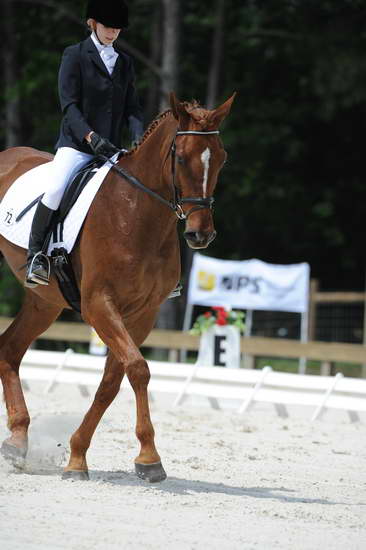 So8ths-5-4-12-Dressage-0926-KristinNeill-BigBonesBailey-DDeRosaPhoto