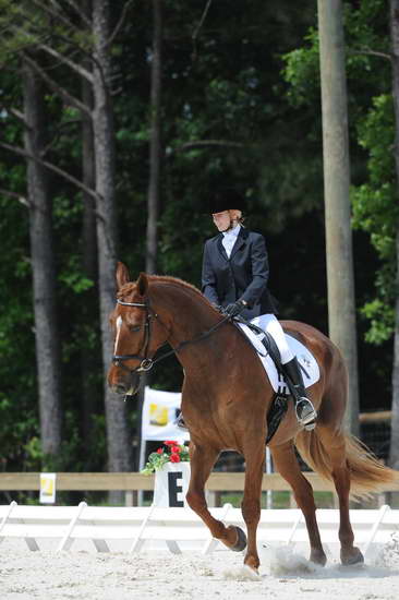 So8ths-5-4-12-Dressage-0929-KristinNeill-BigBonesBailey-DDeRosaPhoto