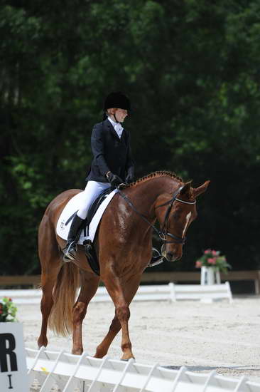 So8ths-5-4-12-Dressage-0931-KristinNeill-BigBonesBailey-DDeRosaPhoto