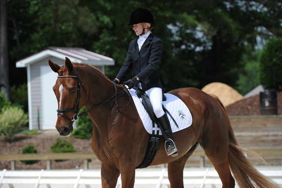 So8ths-5-4-12-Dressage-0941-KristinNeill-BigBonesBailey-DDeRosaPhoto