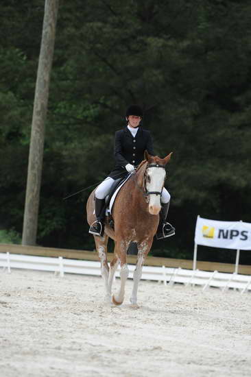 So8ths-5-4-12-Dressage-1044-BrianaTimmerman-ASplashofHenry-DDeRosaPhoto