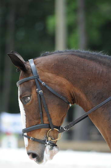 So8ths-5-4-12-Dressage-1052-KindellBillingsley-Keeneland-DDeRosaPhoto