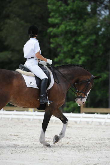 So8ths-5-4-12-Dressage-1058-KindellBillingsley-Keeneland-DDeRosaPhoto