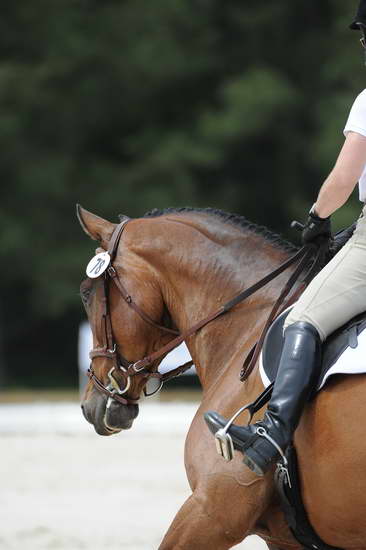 So8ths-5-4-12-Dressage-1087-BeckyBrown-TotallyBroke-DDeRosaPhoto