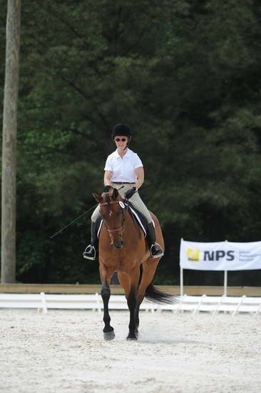 So8ths-5-4-12-Dressage-1091-BeckyBrown-TotallyBroke-DDeRosaPhoto