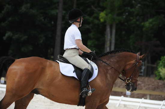 So8ths-5-4-12-Dressage-1094-BeckyBrown-TotallyBroke-DDeRosaPhoto