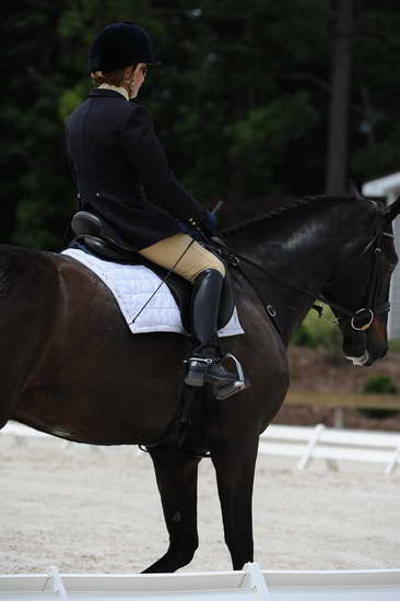 So8ths-5-4-12-Dressage-1131-SarahMorton-Womble-DDeRosaPhoto