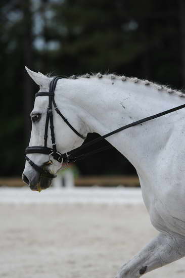 So8ths-5-4-12-Dressage-1155-DCMcBroom-GroundForce-DDeRosaPhoto