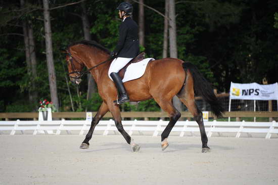 So8ths-5-4-12-Dressage-0323-BevWarner-Arnold-DDeRosaPhoto