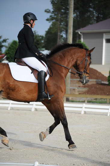 So8ths-5-4-12-Dressage-0331-BevWarner-Arnold-DDeRosaPhoto