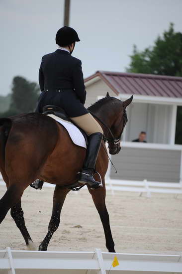 So8ths-5-4-12-Dressage-0345-CarolOgden-InRhythm-DDeRosaPhoto