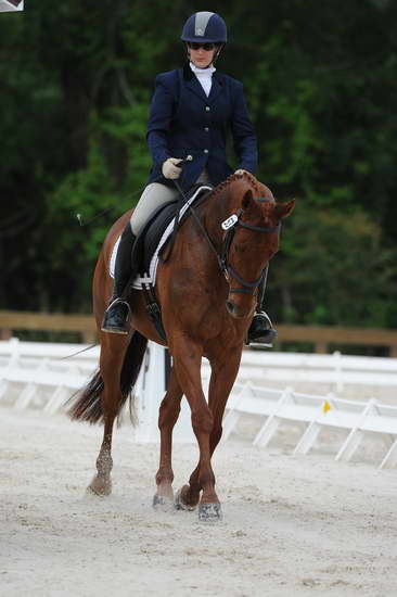 So8ths-5-4-12-Dressage-0391-KerryTracey-BourbonGingerbear-DDeRosaPhoto