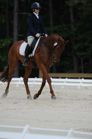 So8ths-5-4-12-Dressage-0394-KerryTracey-BourbonGingerbear-DDeRosaPhoto