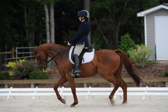 So8ths-5-4-12-Dressage-0405-KerryTracey-BourbonGingerbear-DDeRosaPhoto